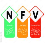 nfv.jpg