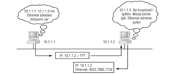 ARP.PNG