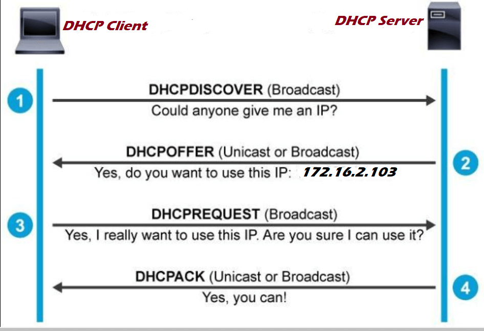 dhcp2.png