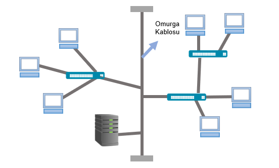 hy_tree_topolojisi.png